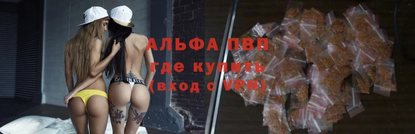 дмт Алексин