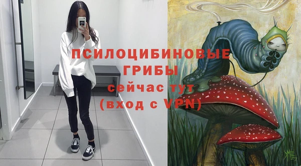 дмт Алексин
