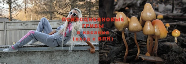 дмт Алексин