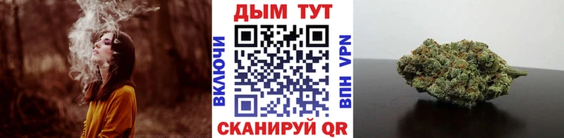 купить наркоту  kraken рабочий сайт  Бошки Шишки сатива  Валдай 